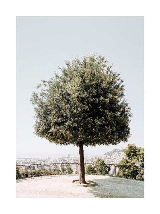 Tree in Naples Juliste 0
