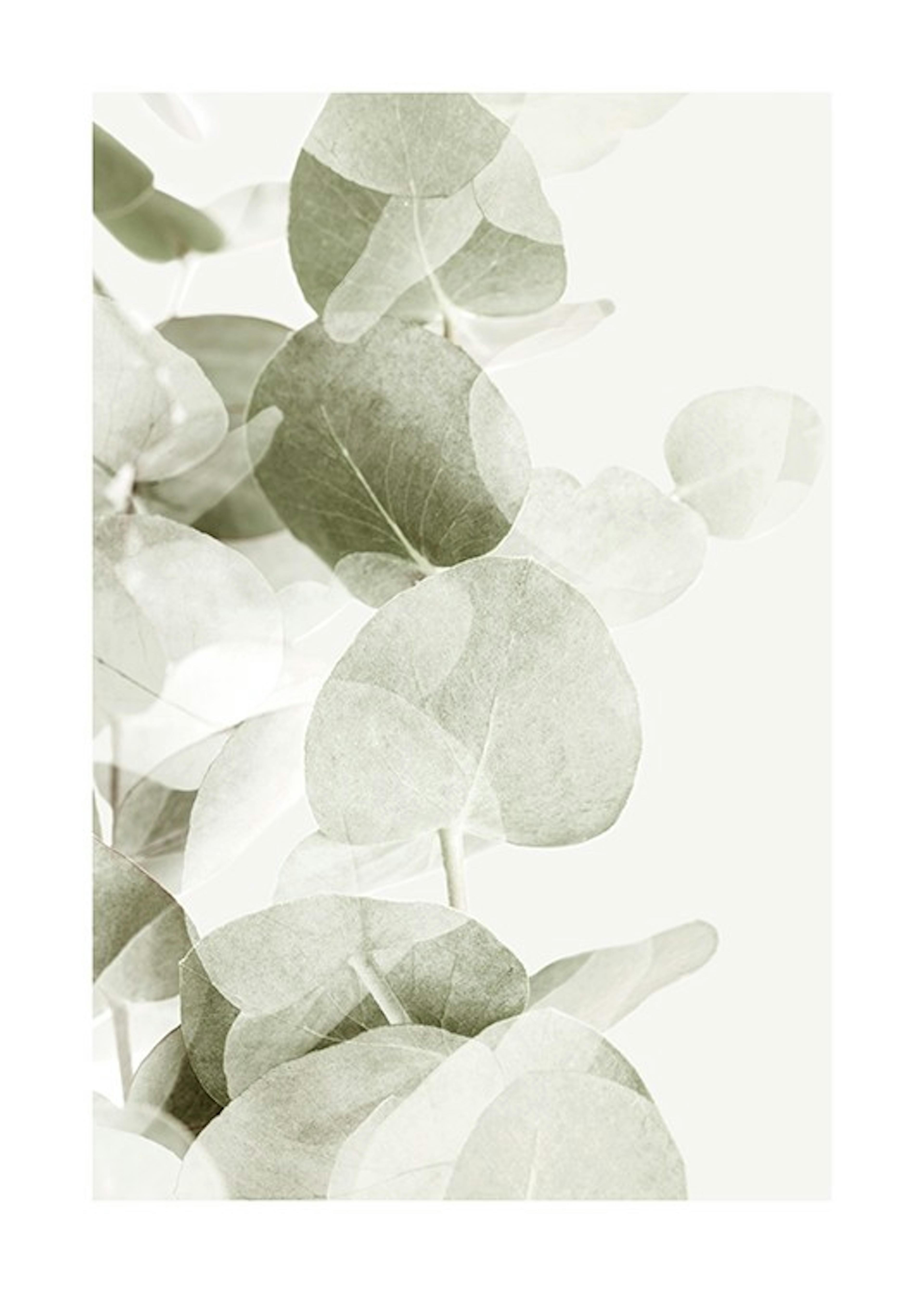 Abstract Eucalyptus No1 Plakat