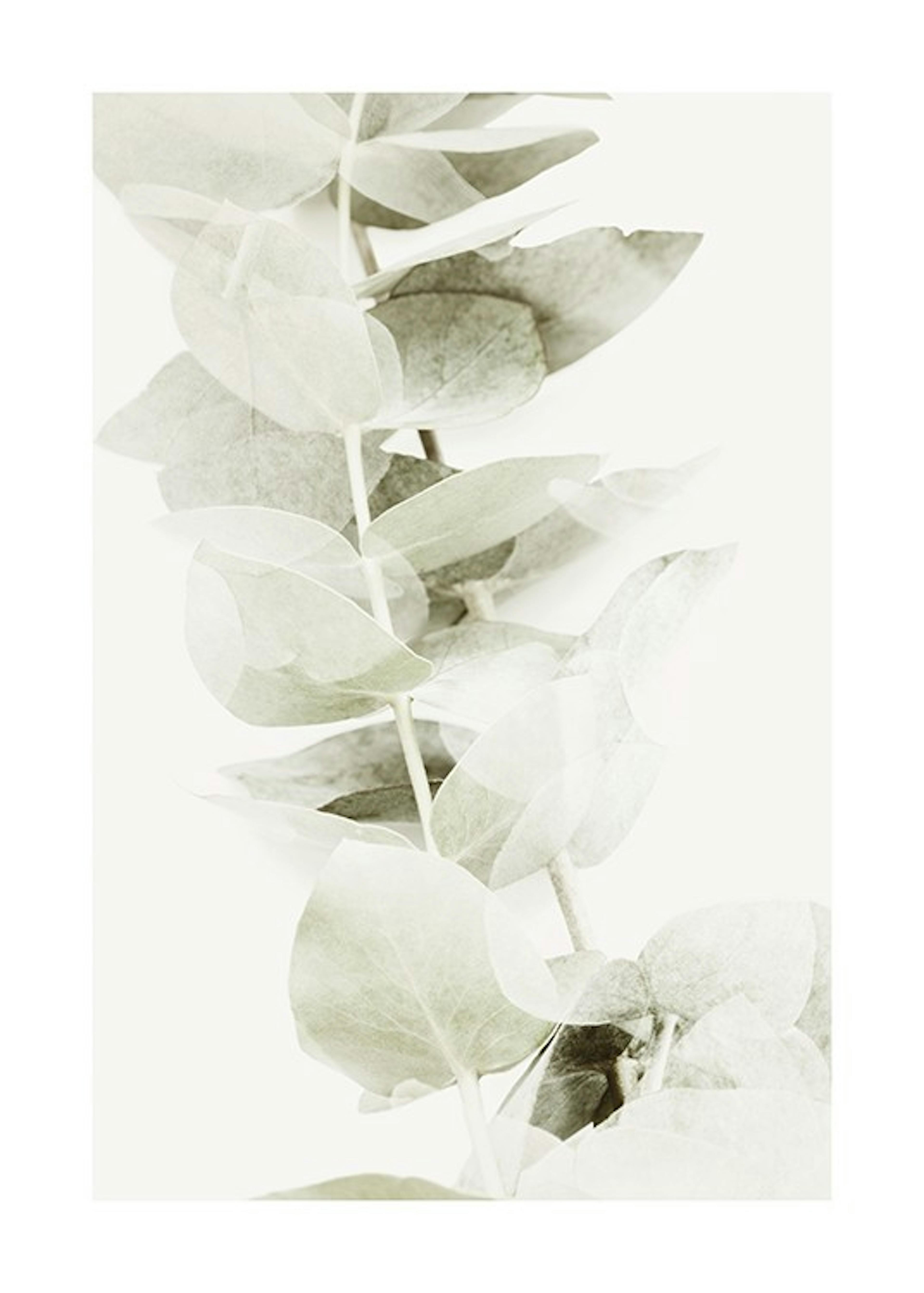 Abstract Eucalyptus No2 Affiche 0