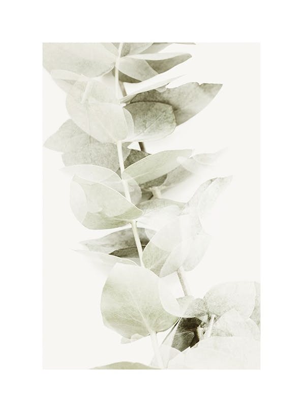 Abstract Eucalyptus No2 Poster (30x40 cm)