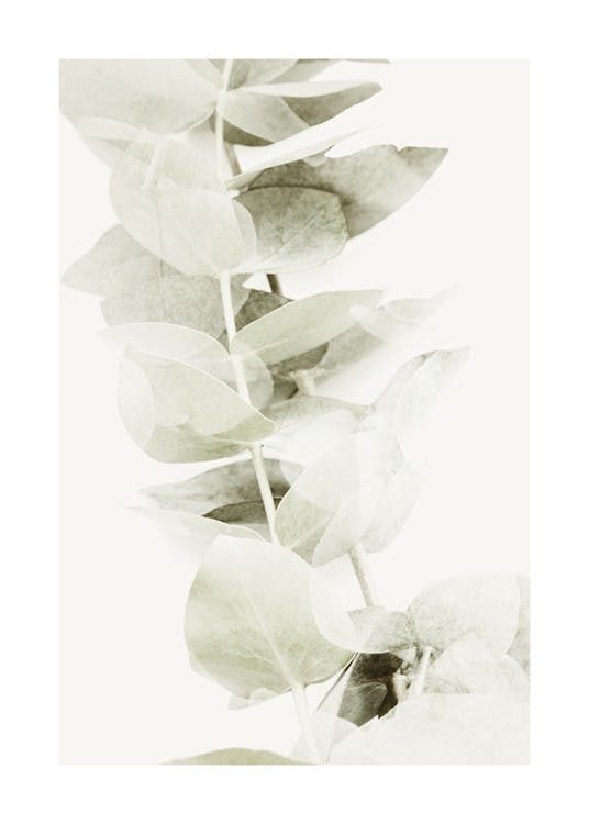 Abstract Eucalyptus No2 Poster 0