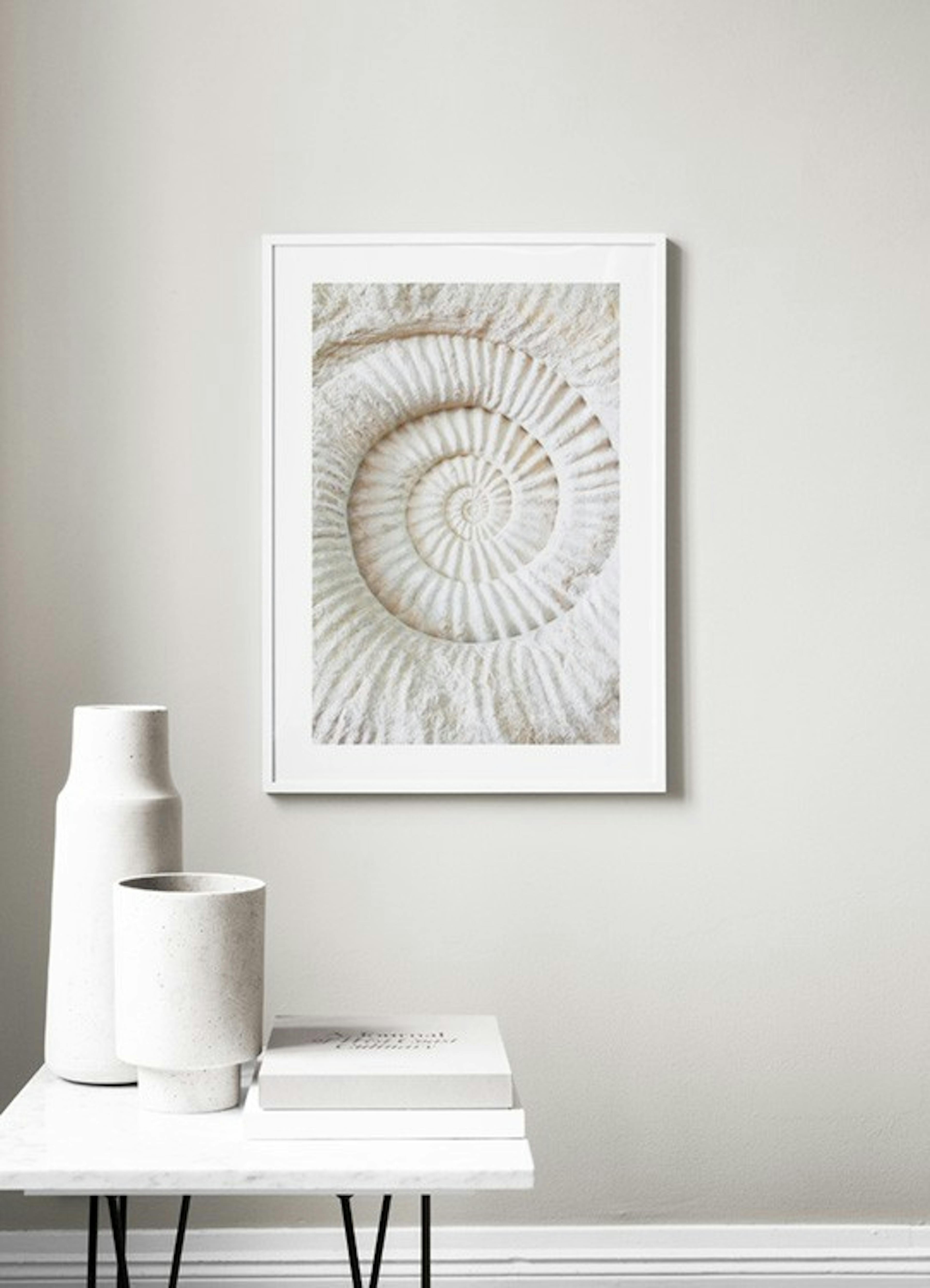 Ammonite Fossil Print