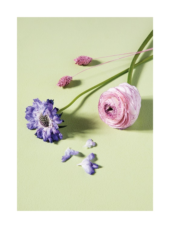 Pastel Flowers Poster 0
