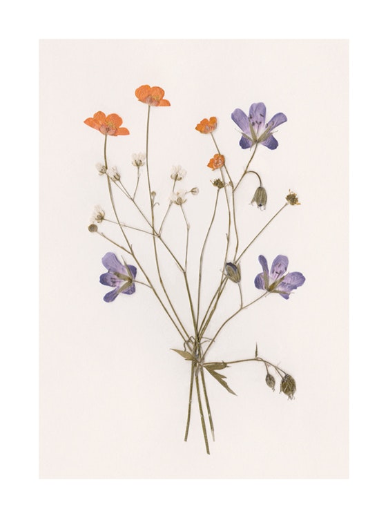 Pressed Flowers No1 Poster 0