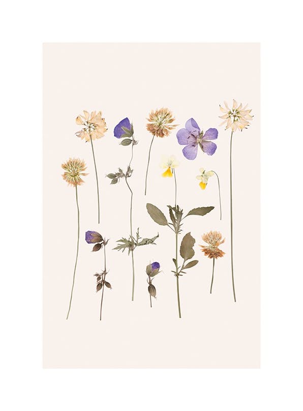 Pressed Flowers No2 Poster (30x40 cm)- Posters de flores