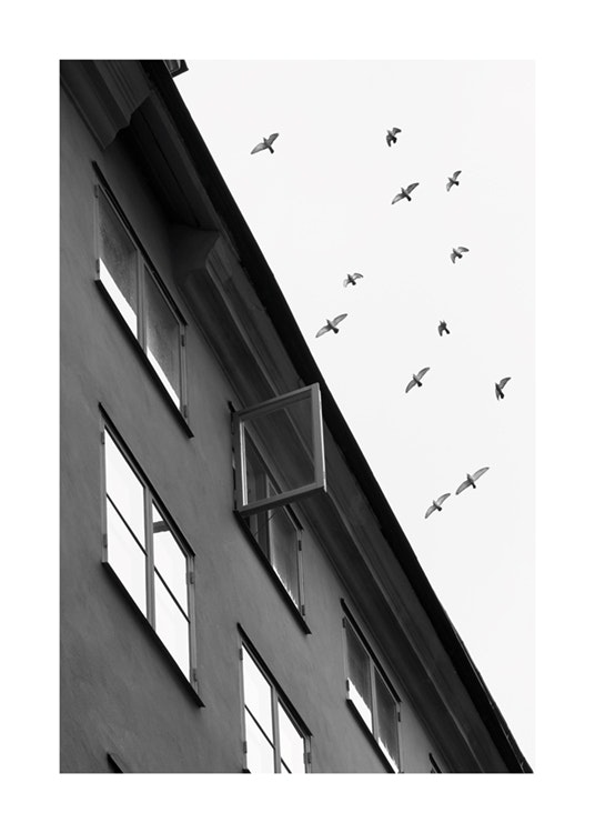 City Birds Poster 0