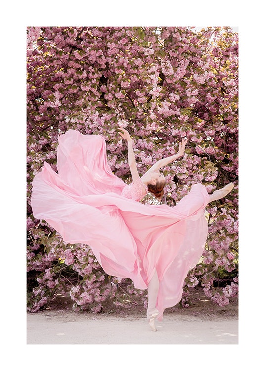 Cherry Blossom Ballerina Poster 0