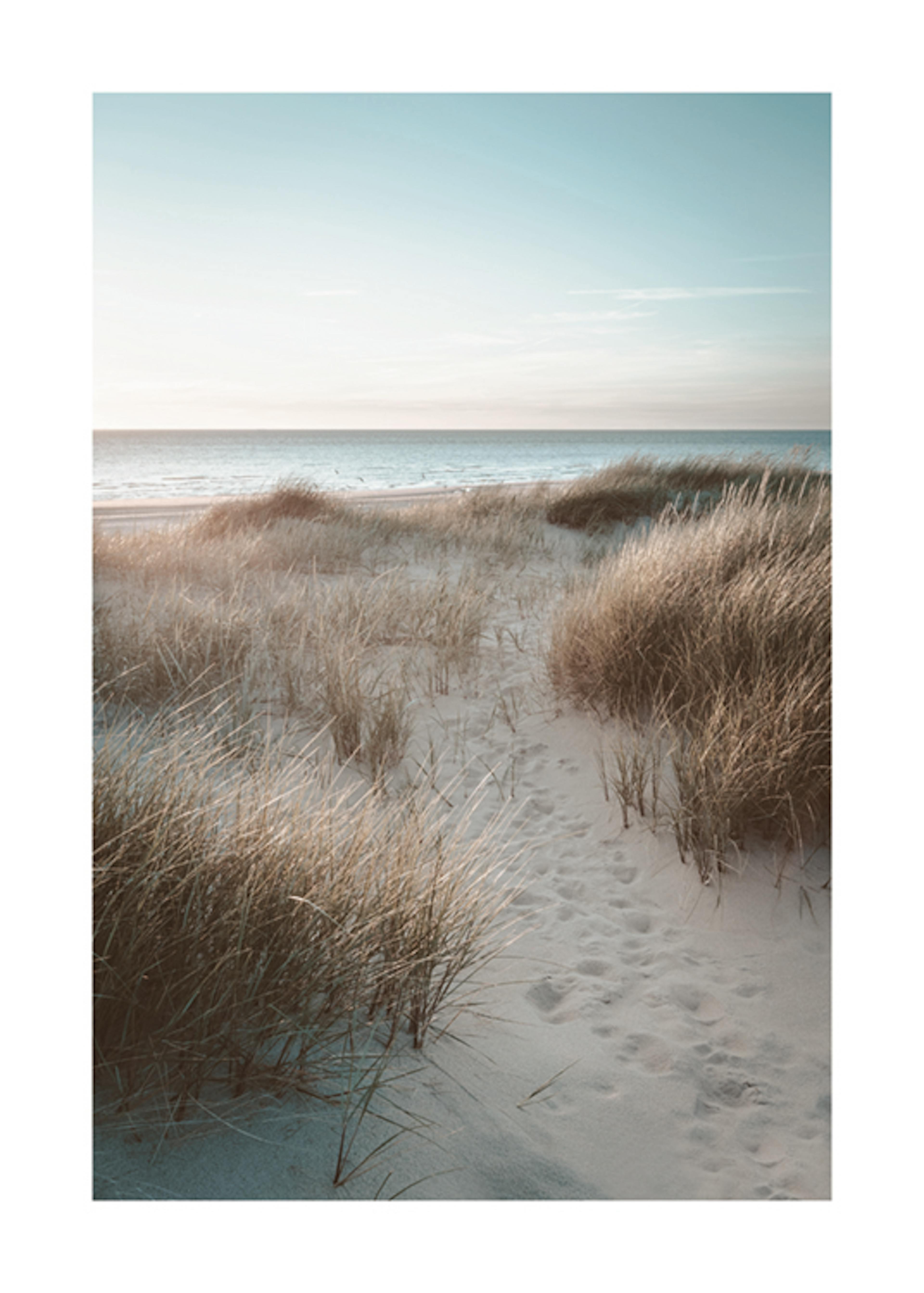 Sunset Beach Dune Poster 0