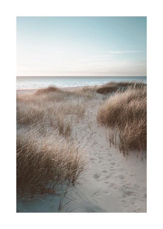 Sunset Beach Dune Affiche 0