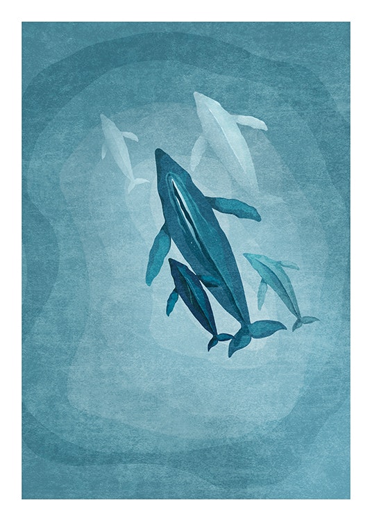 Whales Family Poster 0