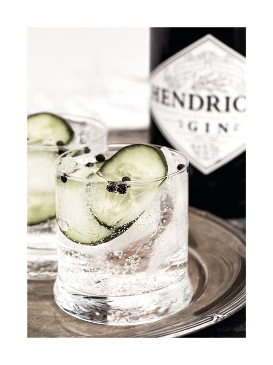 Gin & Tonic Drink Poster 0