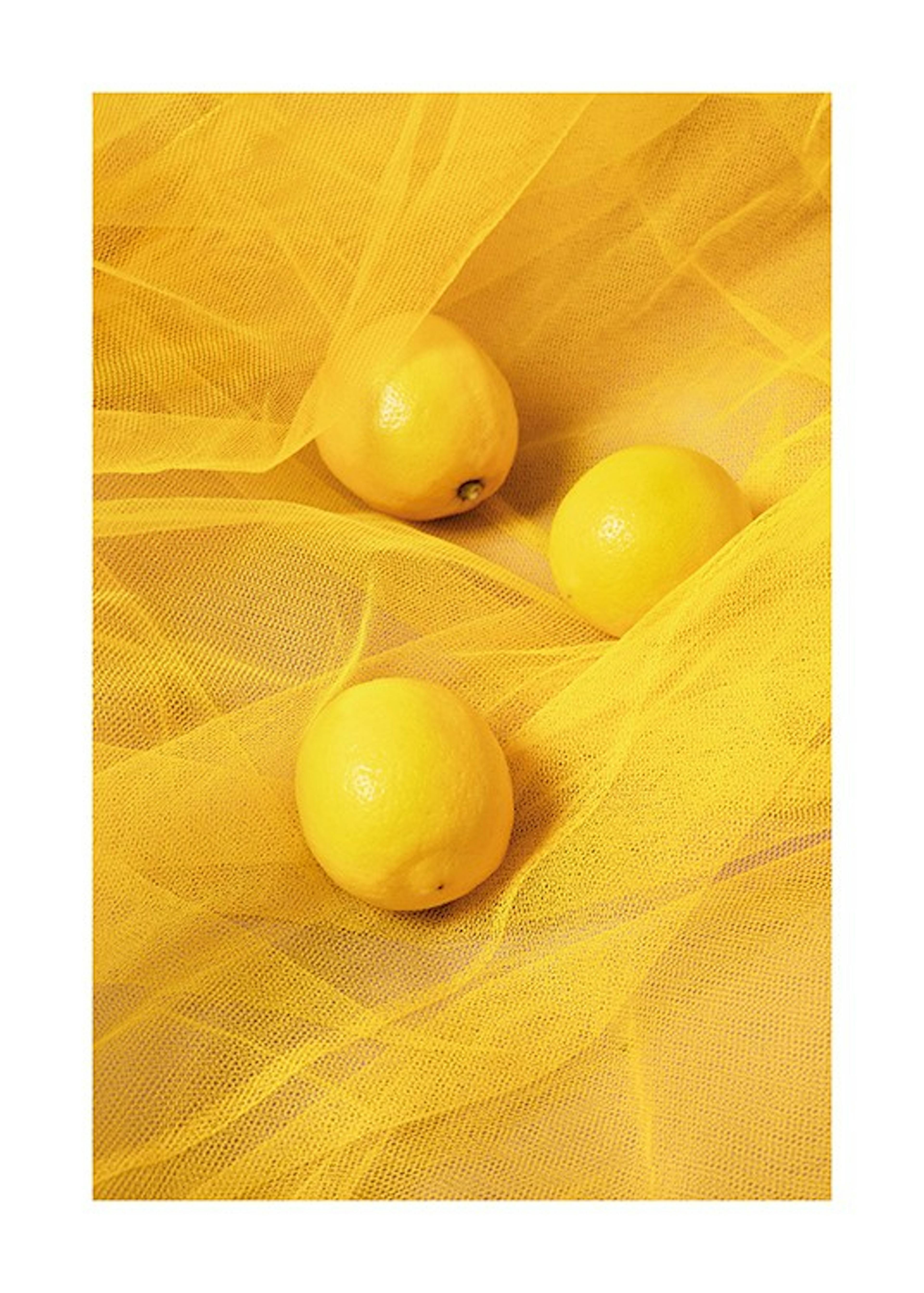 Tulle and Lemons Print 0