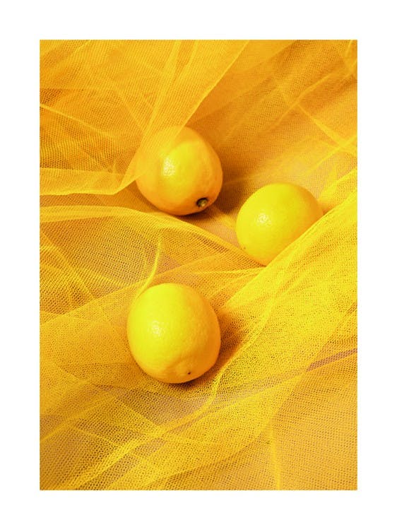 Tulle and Lemons Plakat 0
