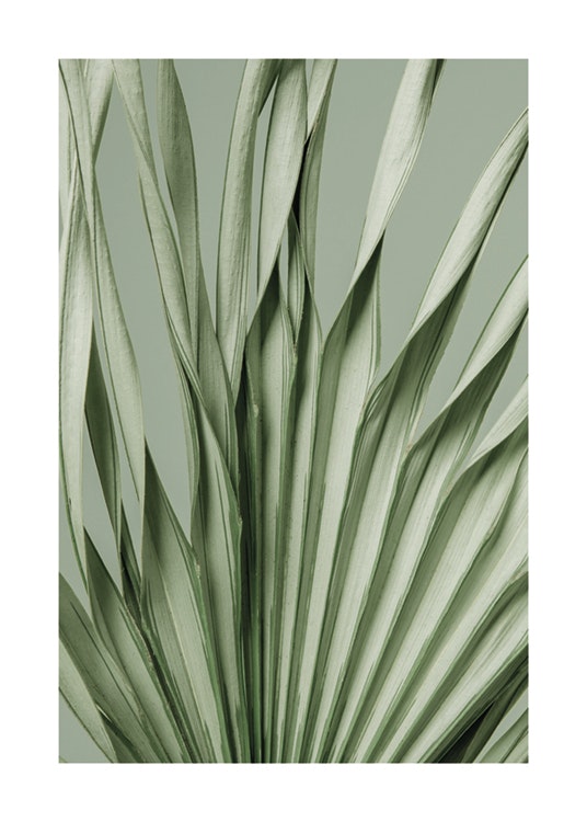 Twisted Palm Poster 0