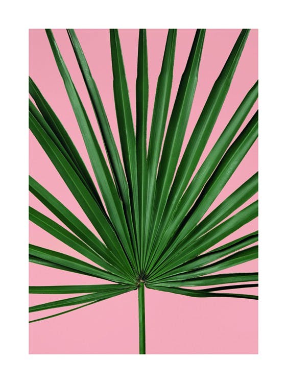 Pink Palm Leaf 포스터 0