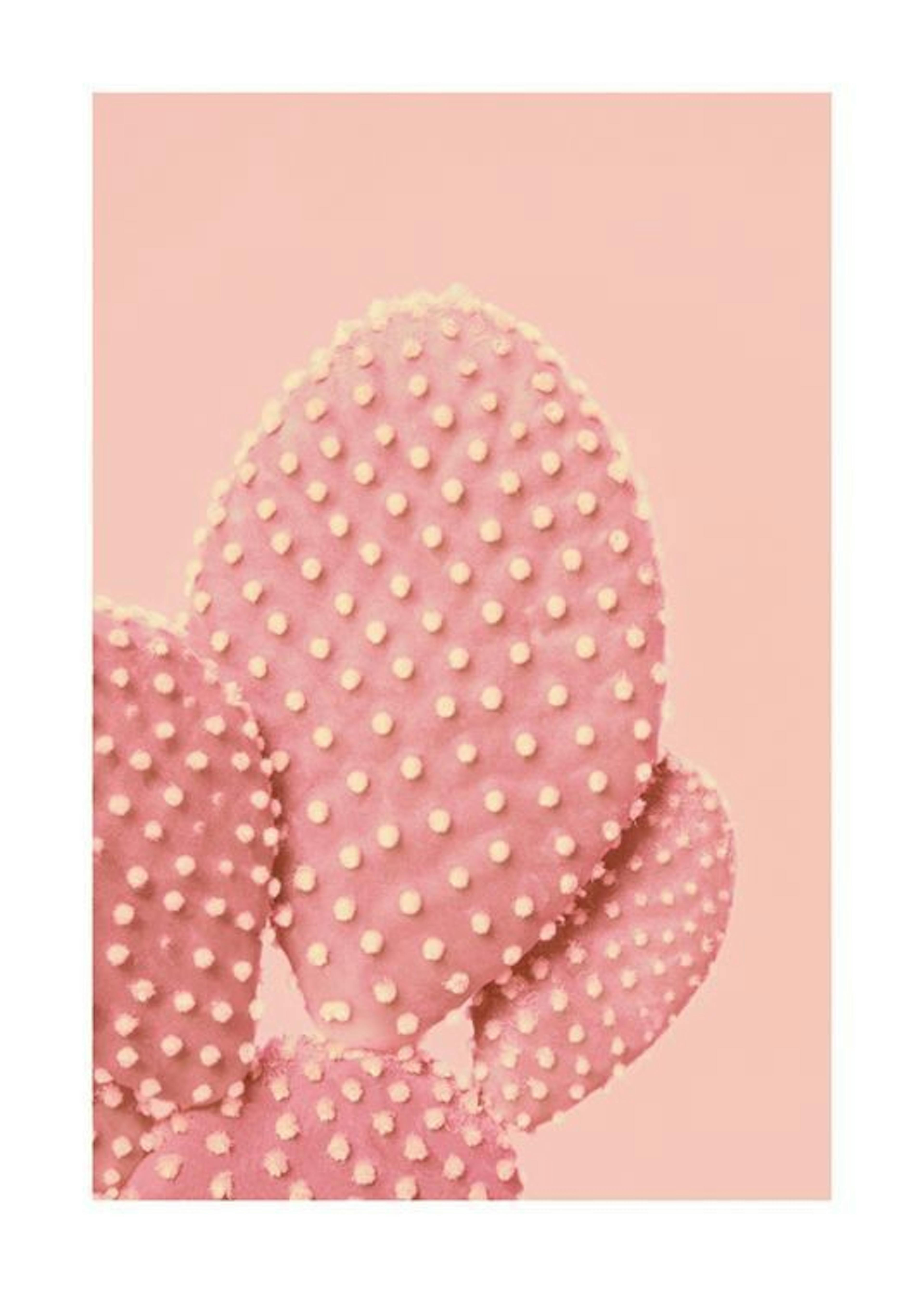 Pink Dotted Cactus Plakat 0