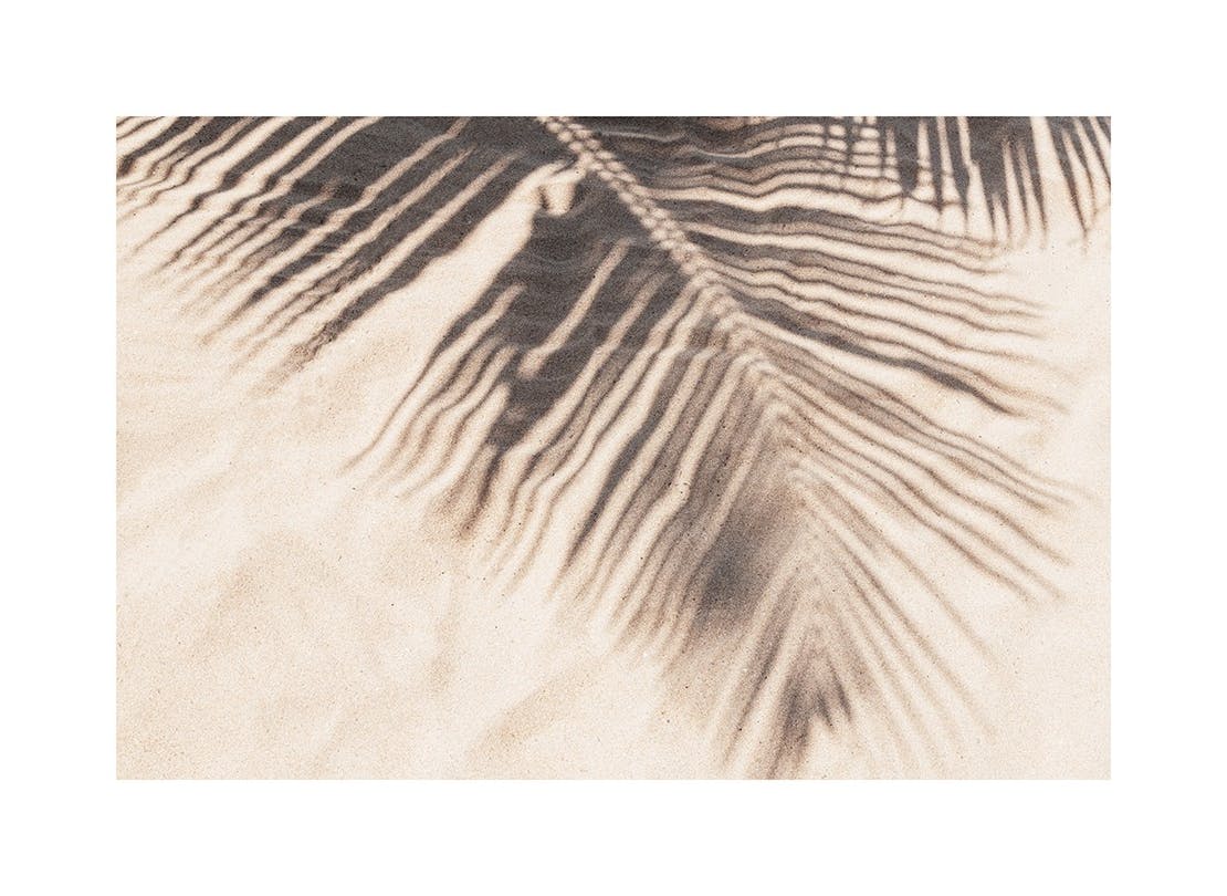 Tropical Shadow Plakat (21x30 cm)- Plakaty z palmami
