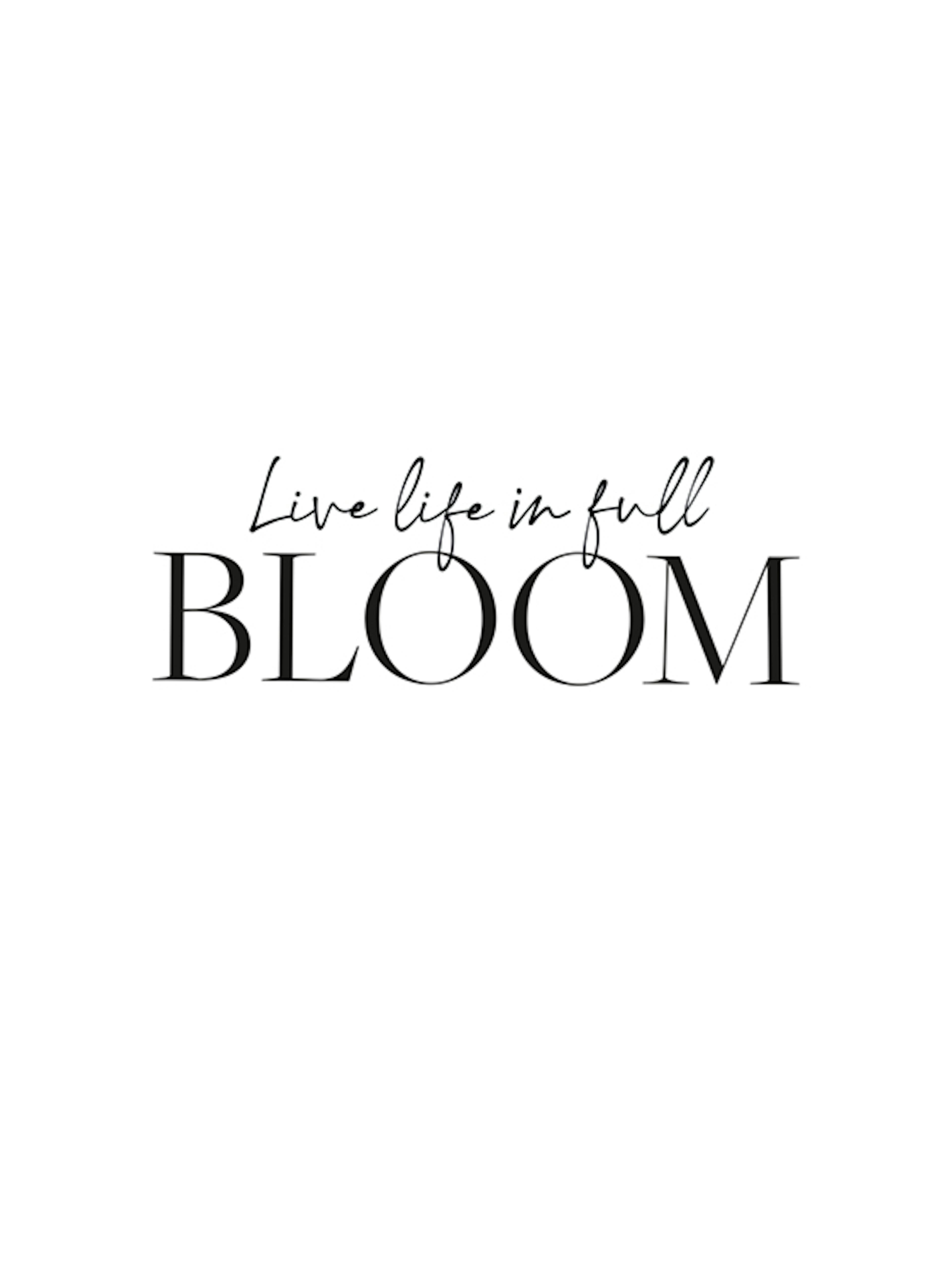 Live Life in Full Bloom 포스터 0