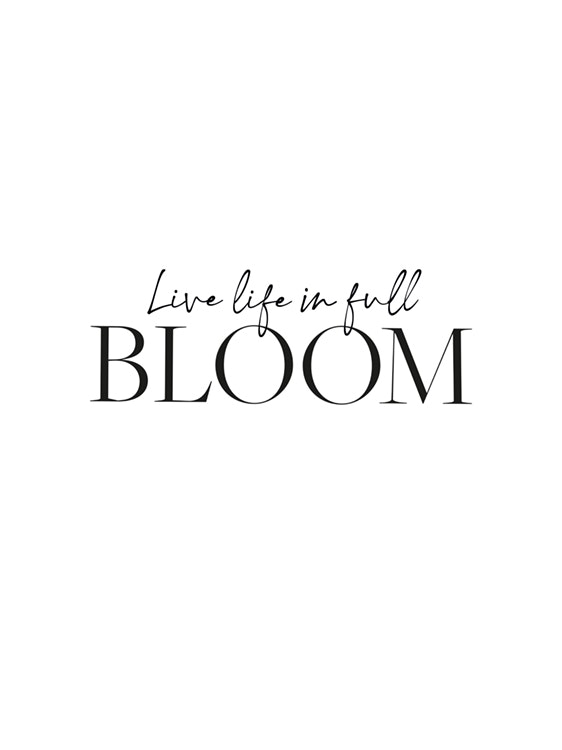 Live Life in Full Bloom Juliste 0