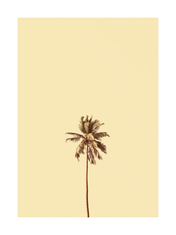 Sunny Palm Tree Poster 0