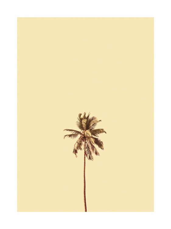 Sunny Palm Tree Plakat 0