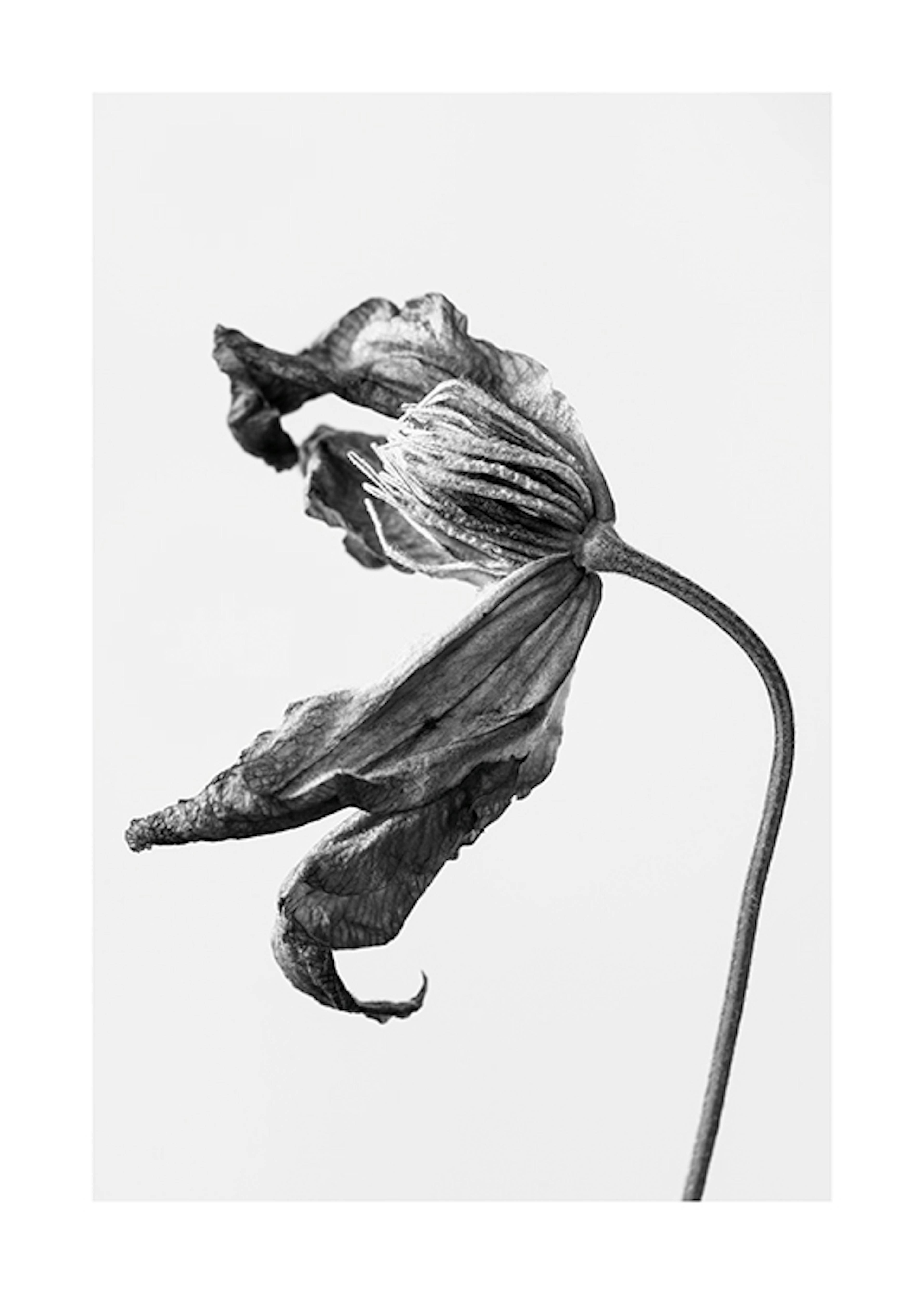 Product image: 1