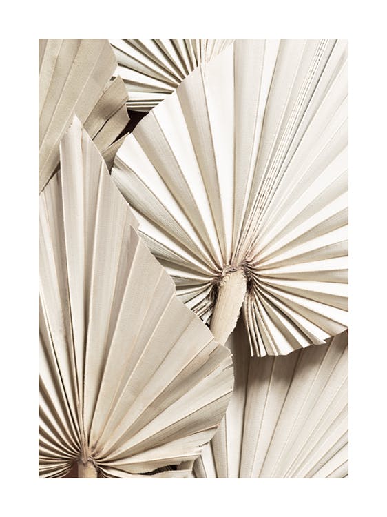 Pleated Palm Poster 0