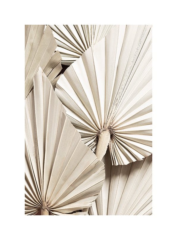 Pleated Palm Plakat (50x70 cm)- Ana Johnson X Desenio