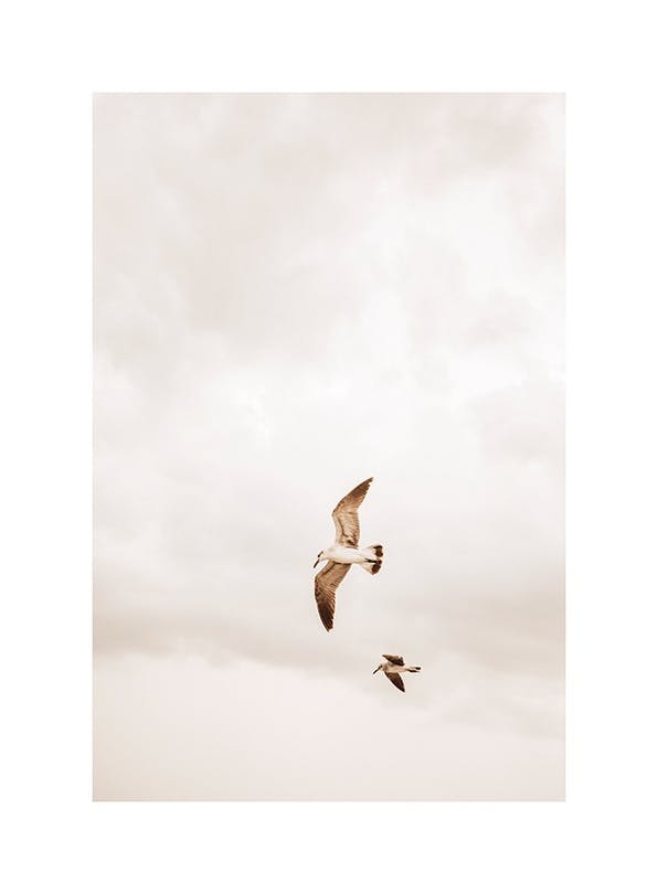 Flying Birds Plakat (30x40 cm)- Molly-Mae X Desenio