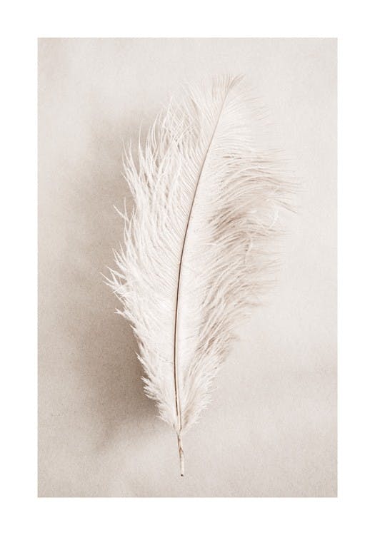 As a Feather Affiche 0