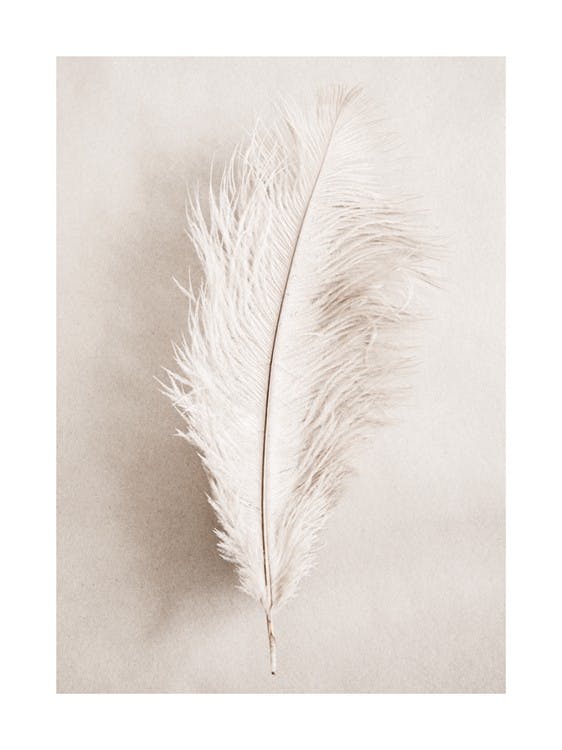 As a Feather Poster 0