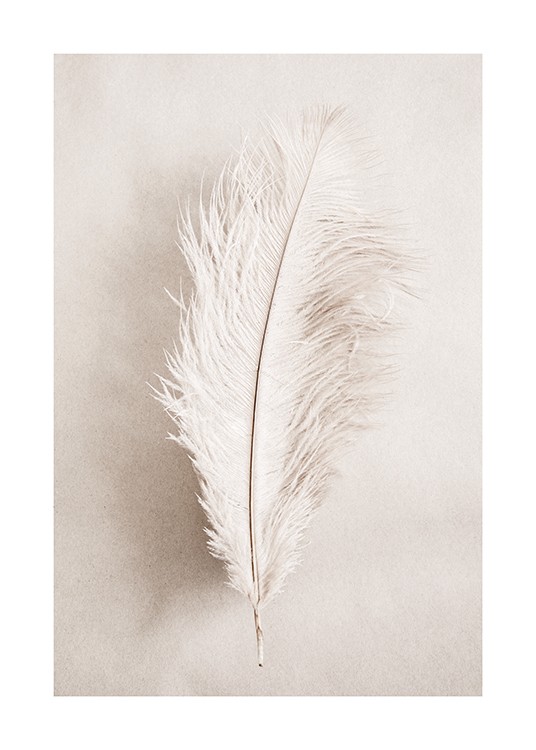 As a Feather Poster