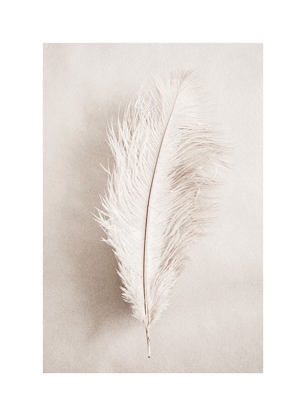As a Feather Plakat (70x100 cm)- Molly-Mae X Desenio
