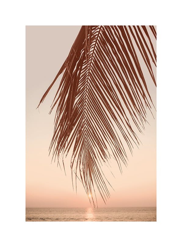 Sunset Palm Plakat (30x40 cm)- Janni Olsson Delér X Desenio
