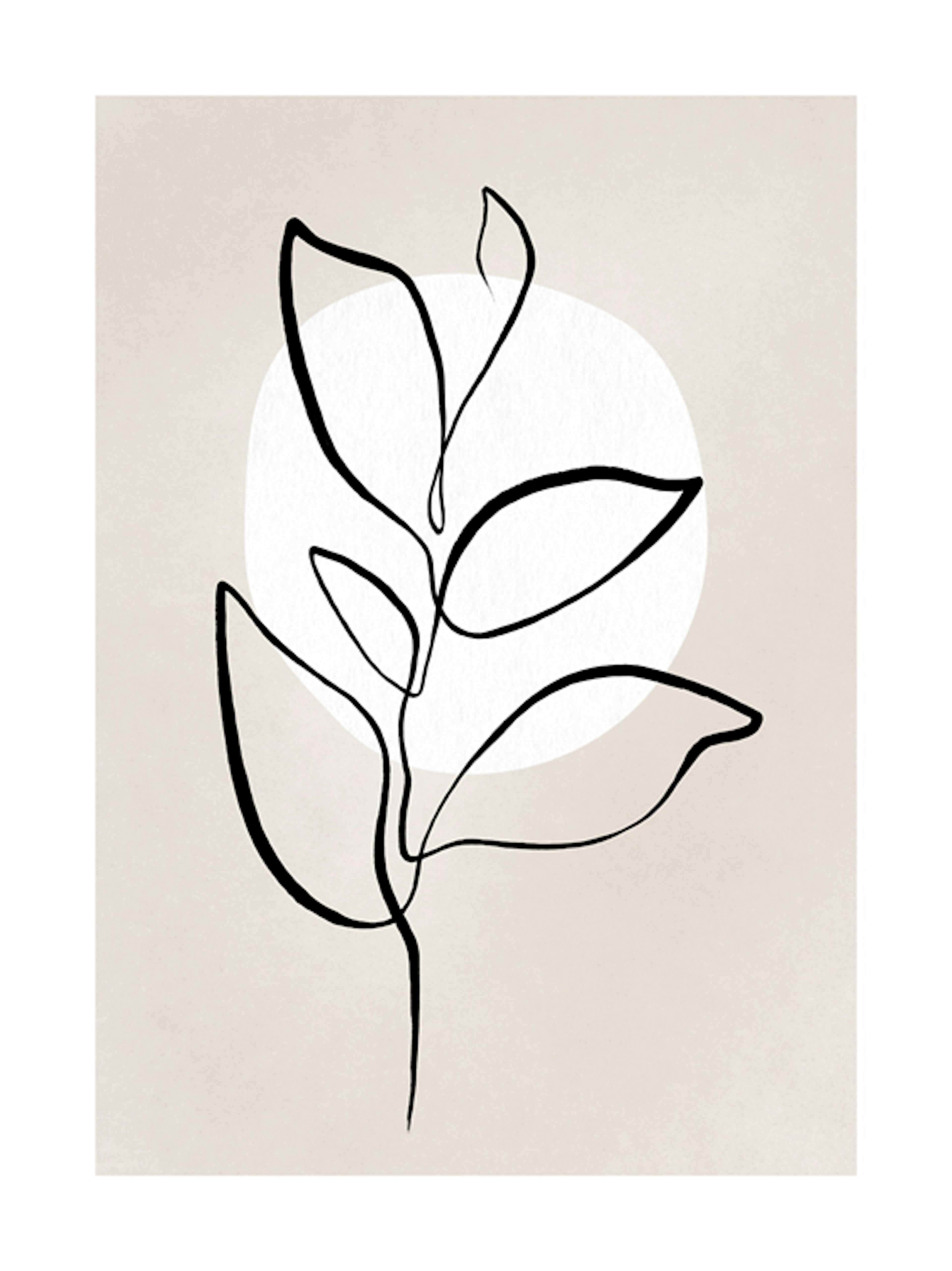 Botanical Lines No2 Poster 0