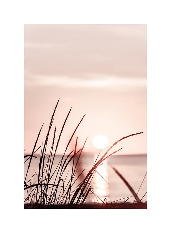 Sunset Grass Affiche (50x70 cm) - Tableaux de la mer