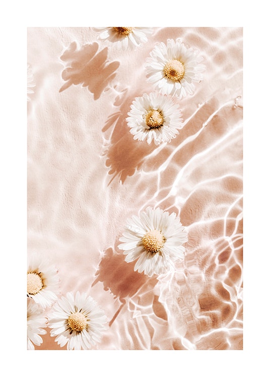 Reflective Flowers No2 Poster 0