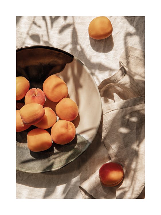 Apricots In Sunlight Poster 0