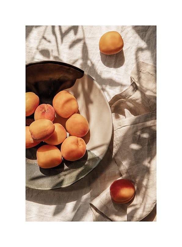 Apricots In Sunlight Poster (50x70 cm)- Plakaty do kuchni