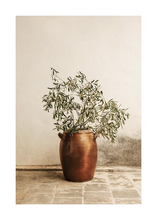 Rustic Olive Branch Poster - Olive branch in vase - desenio.com