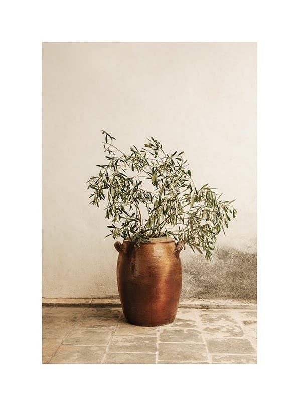 Rustic Olive Branch Poster (50x70 cm)- Arte botânica