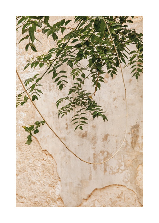Concrete Leaves Poster 0