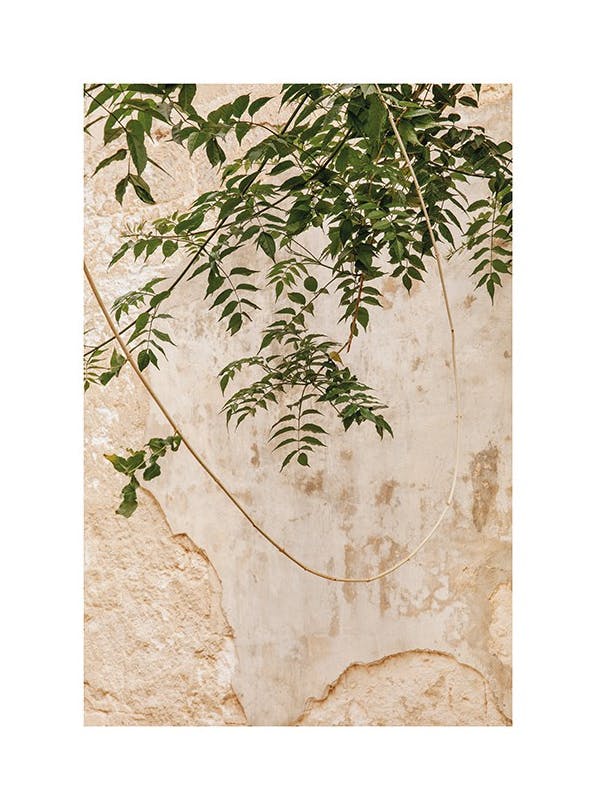 Concrete Leaves Poster (30x40 cm)