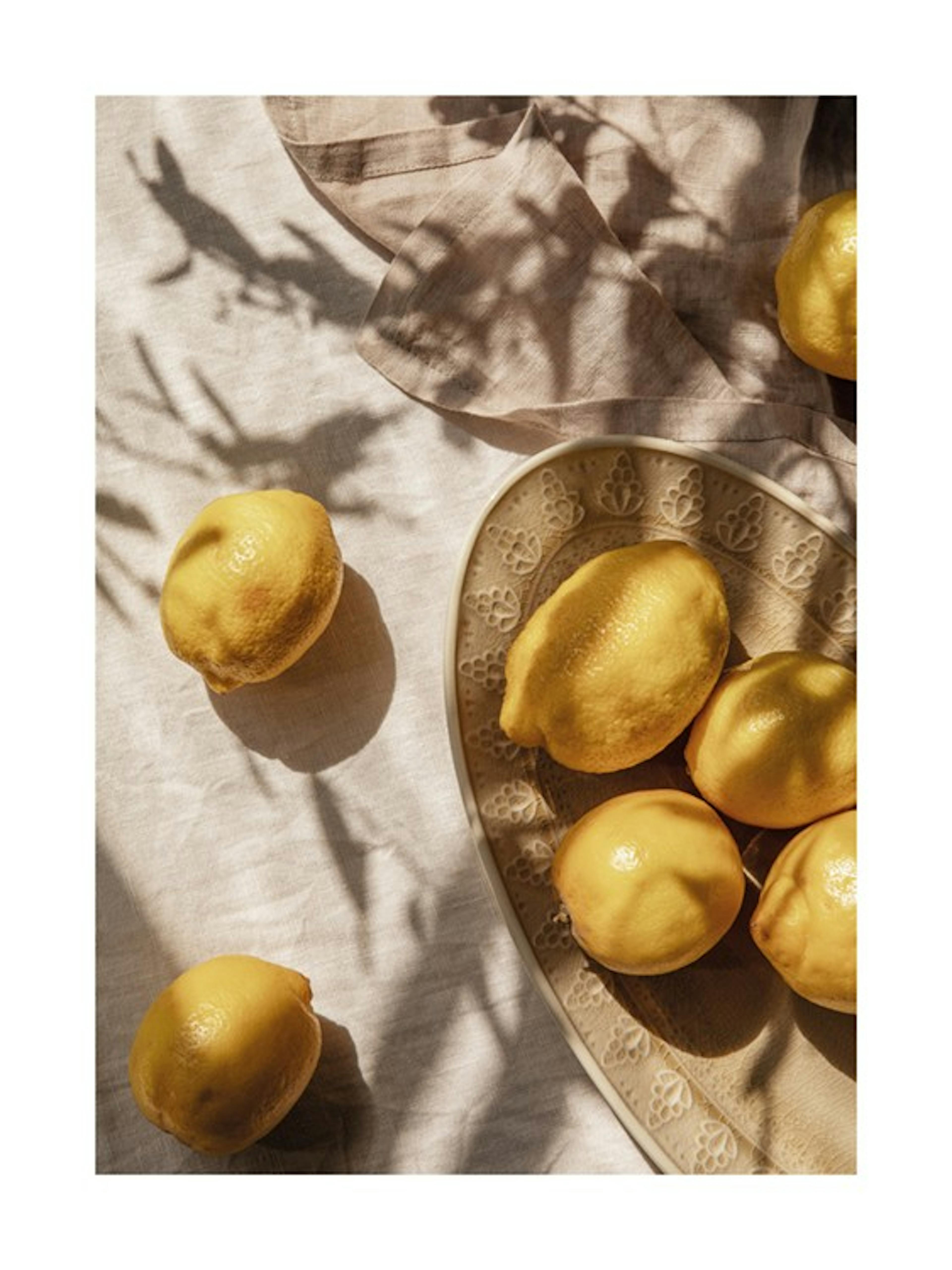 Lemons In Sunlight Print 0