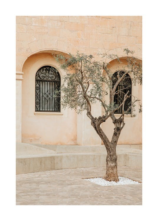 Lonely Olive Tree Poster 0