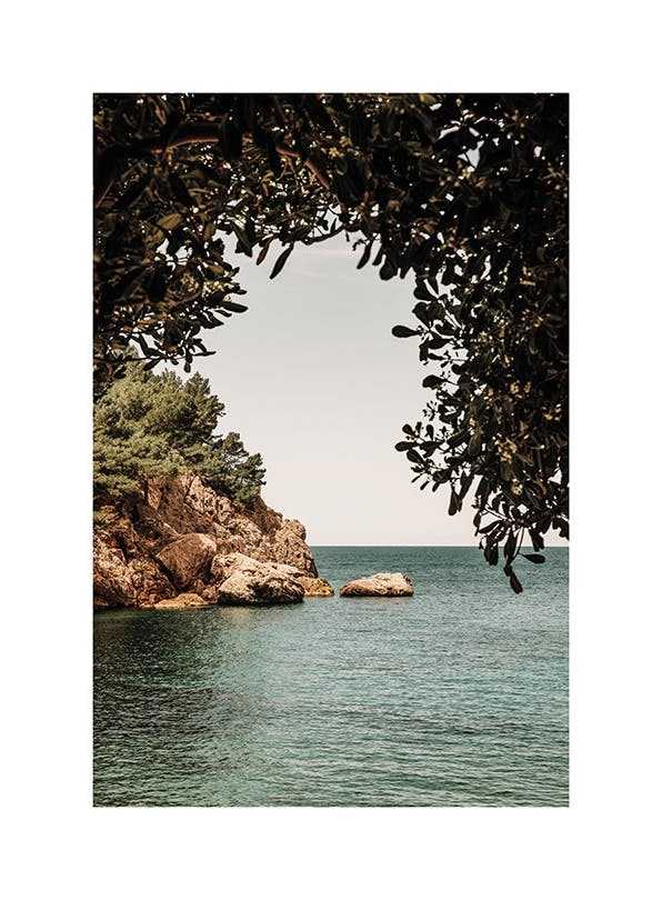 Organic Arch Poster (50x70 cm)- Quadri e poster di natura