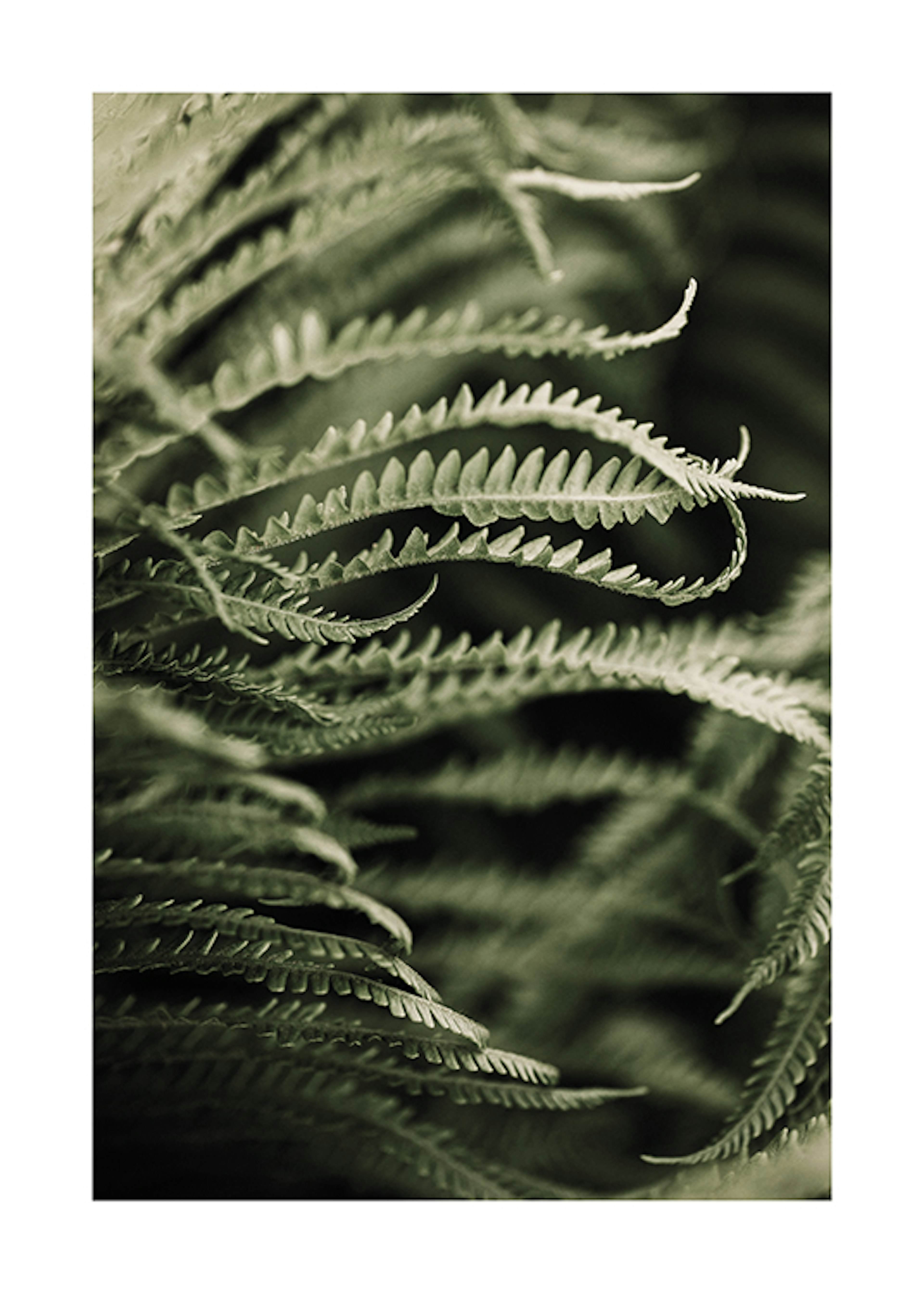 Product image: 1