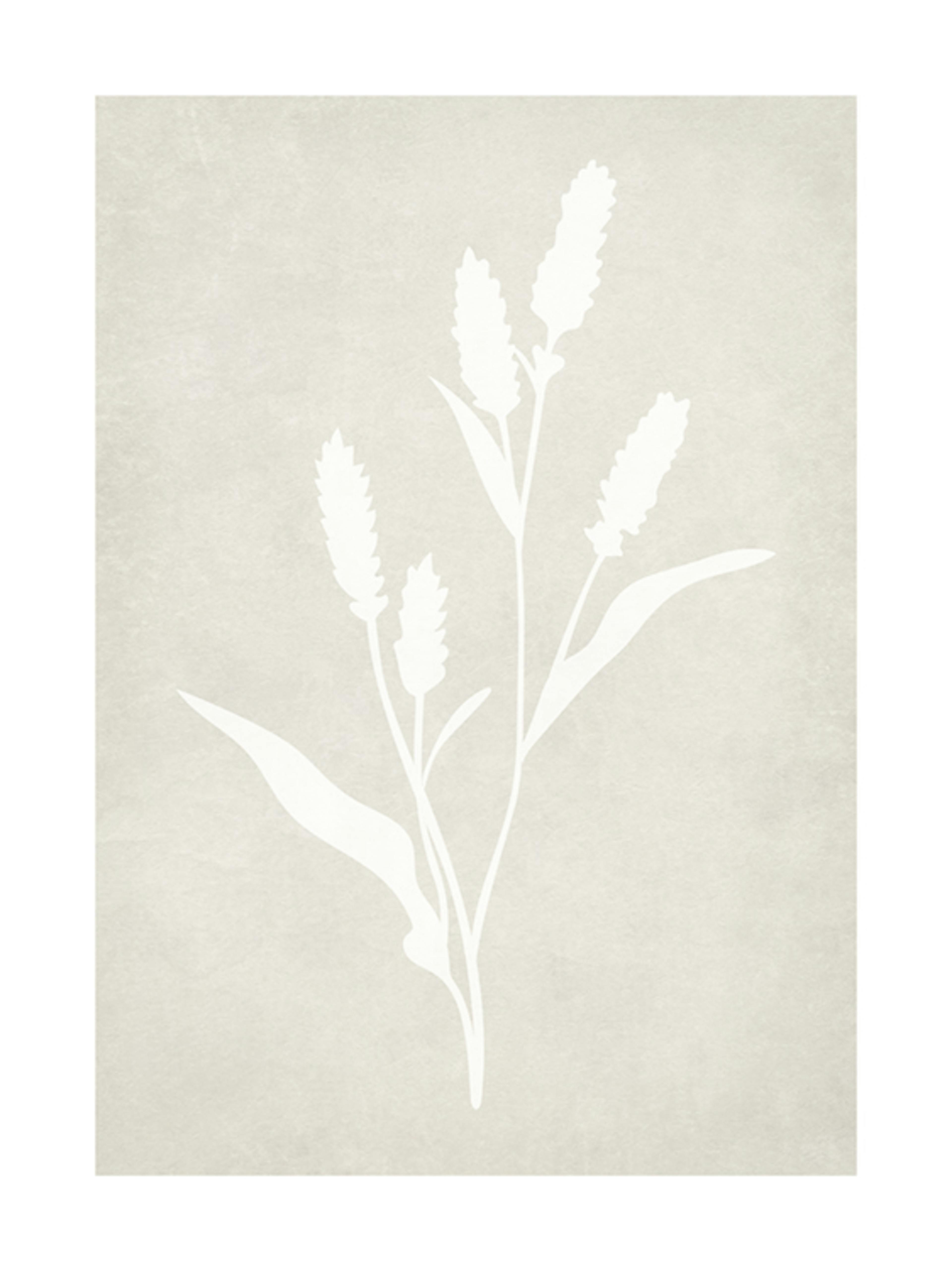 Lavender Silhouette 포스터 0