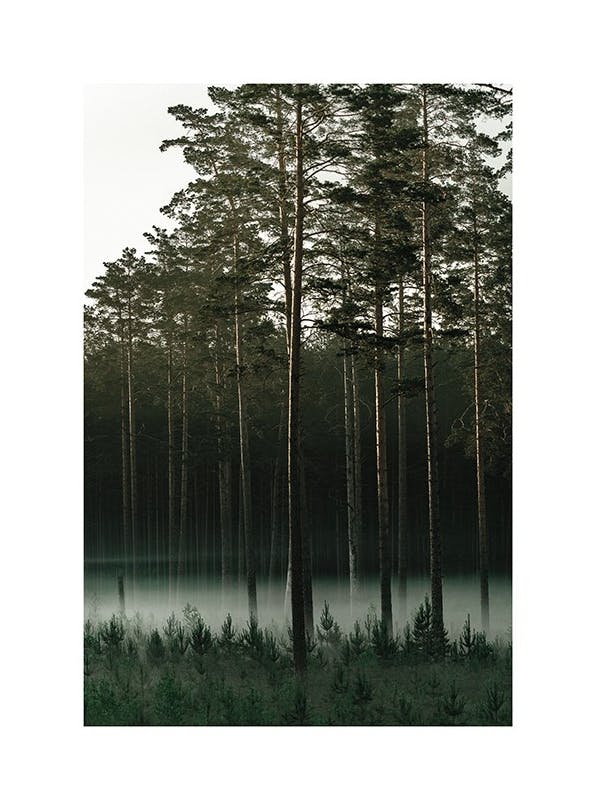 Prints - Misty Forest Print (50x70 cm) - Nature prints