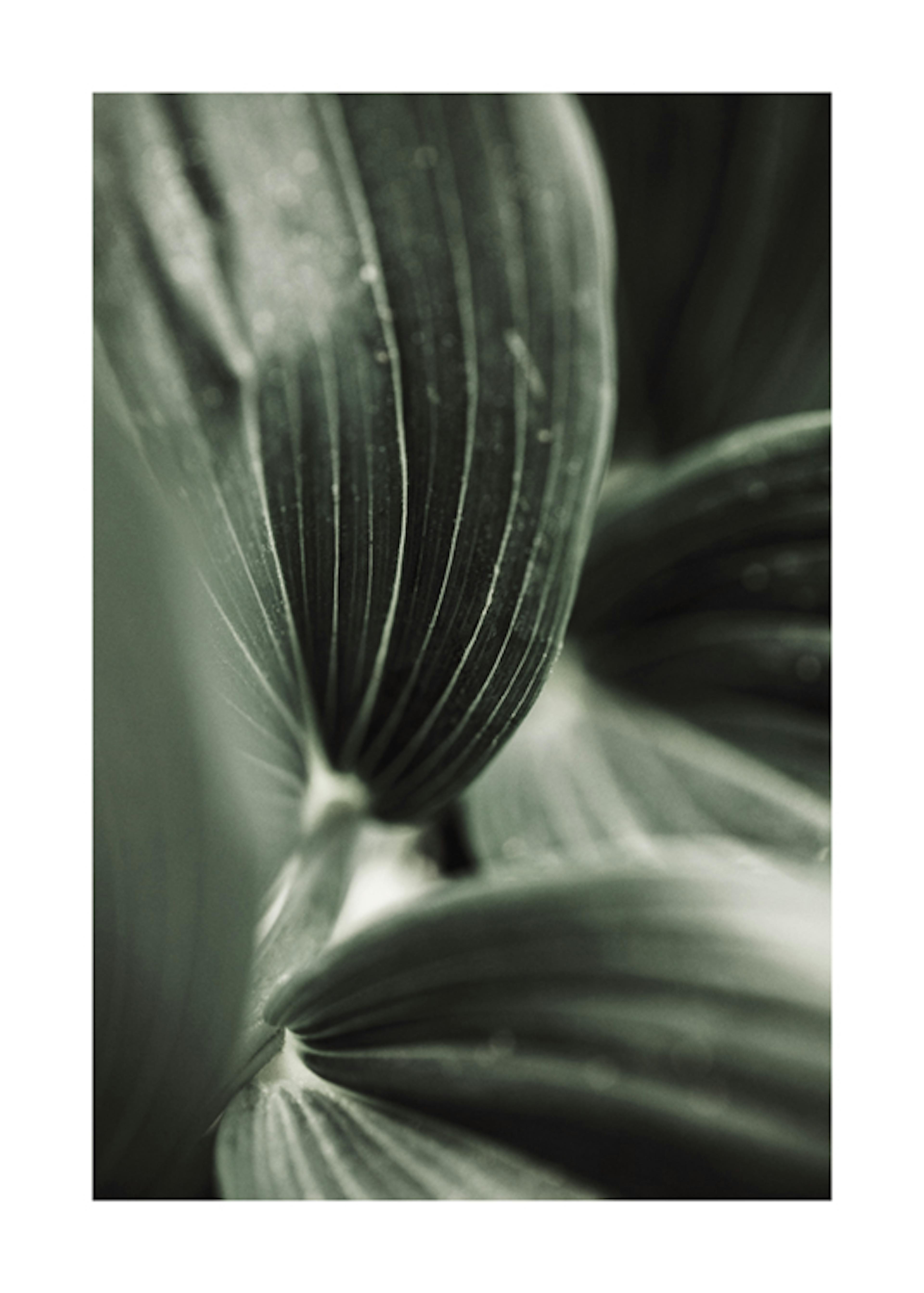 Close Up Plant 포스터 0
